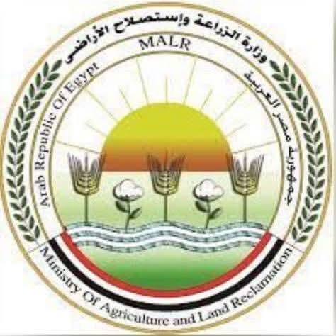 الزراعة تعلن حصاد جهود المعمل المركزي لفحص وتصدير البطاطس خلال فبراير
