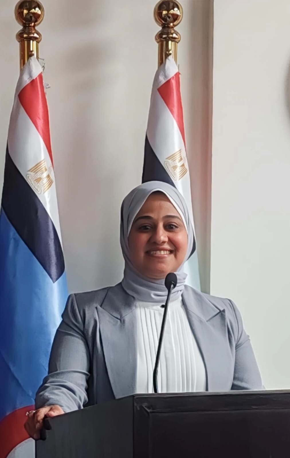 فايزة خطاب: خط سوميد والممرات المصرية يشكلان بديلًا استراتيجيًا لتأمين حركة التجارة والطاقة عالميًا