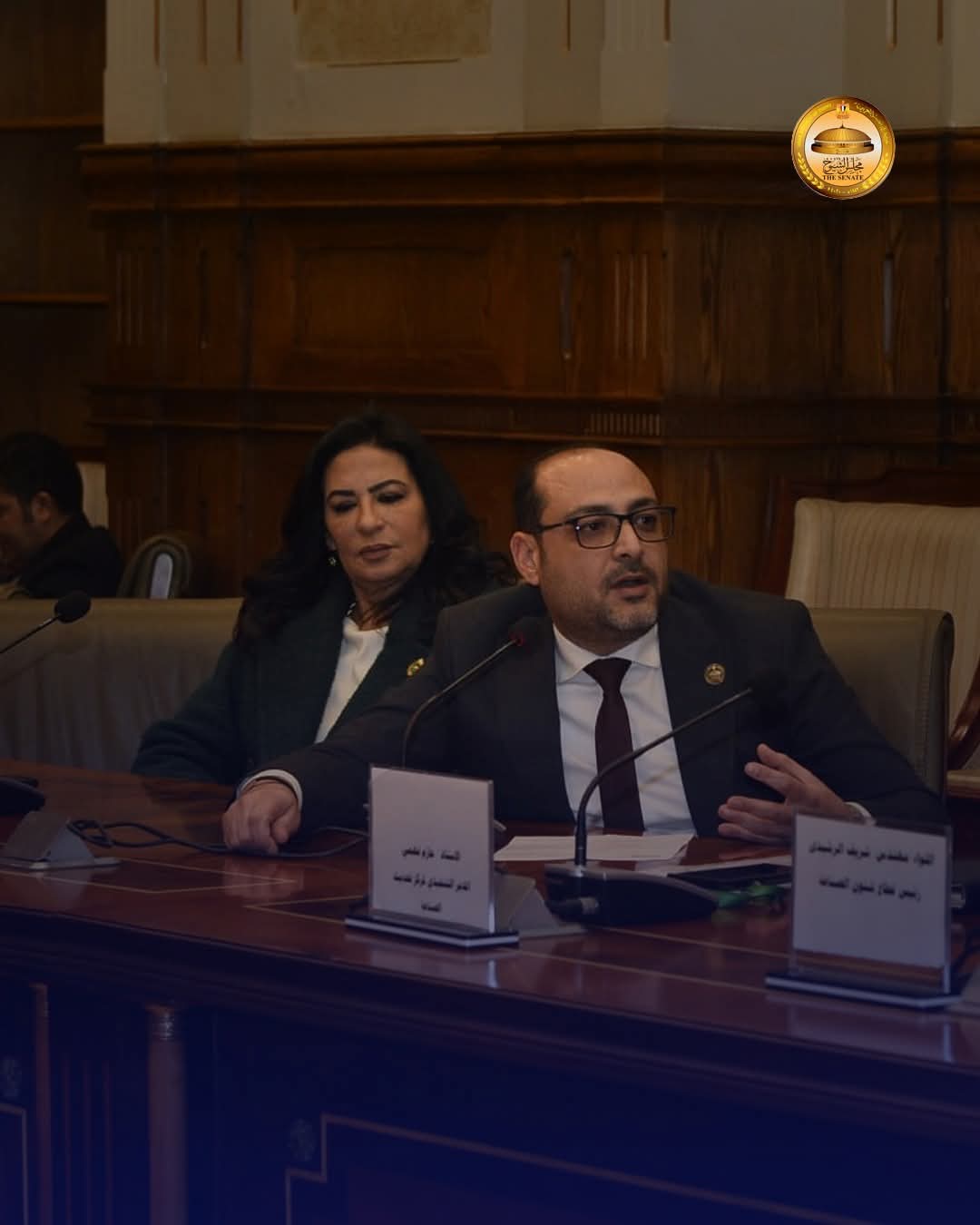 مقترح برلماني لإنشاء "هيئة الخامات والمعادن المصرية" لتعميق التصنيع المحلي