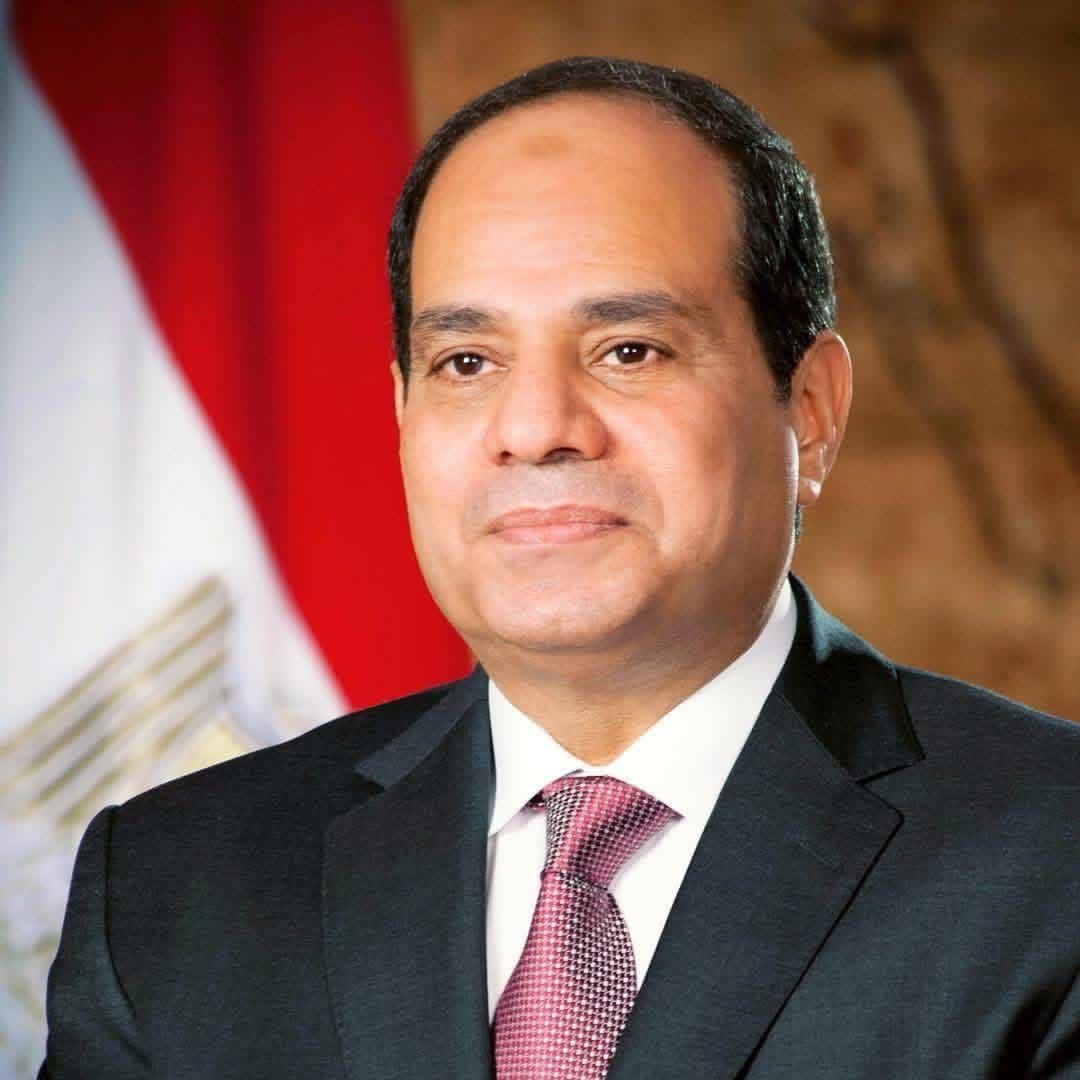 السيسي يصدر القرار رقم 119 لتشكيل المجلس القومي لحقوق الإنسان 2026