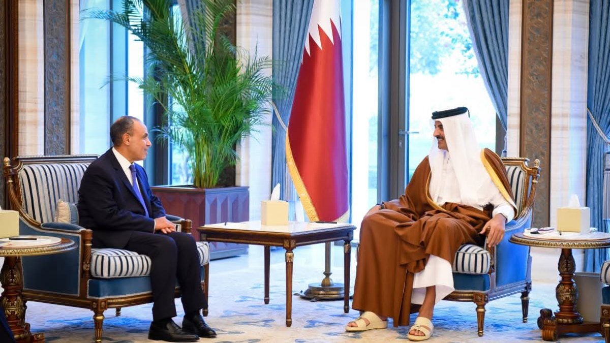 وزير الخارجية ينقل رسالة دعم من الرئيس السيسي للأمير تميم
