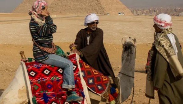 ضوابط صارمة لتأجير الدواب في آثار الجيزة وإجراءات حاسمة لحماية السائحين|فيديو