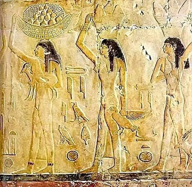 كحك العيد في مصر.. حكاية 5000 عام من التراث والفرح
