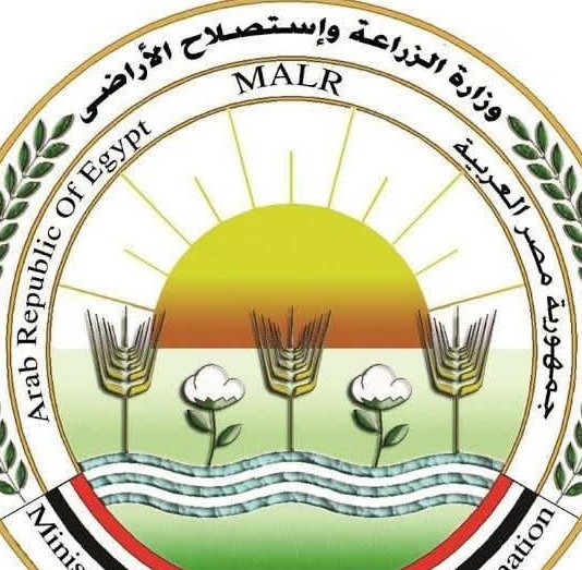 الزراعة تتابع التجهيز المبكر لتقاوي القطن للموسم الجديد
