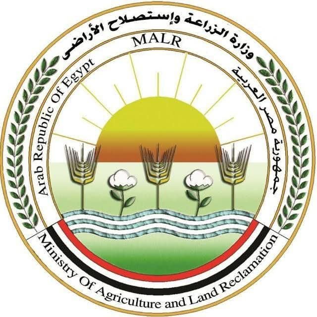الزراعة تعلن تجهيز تقاوي القطن 2026 لتعظيم القيمة المضافة