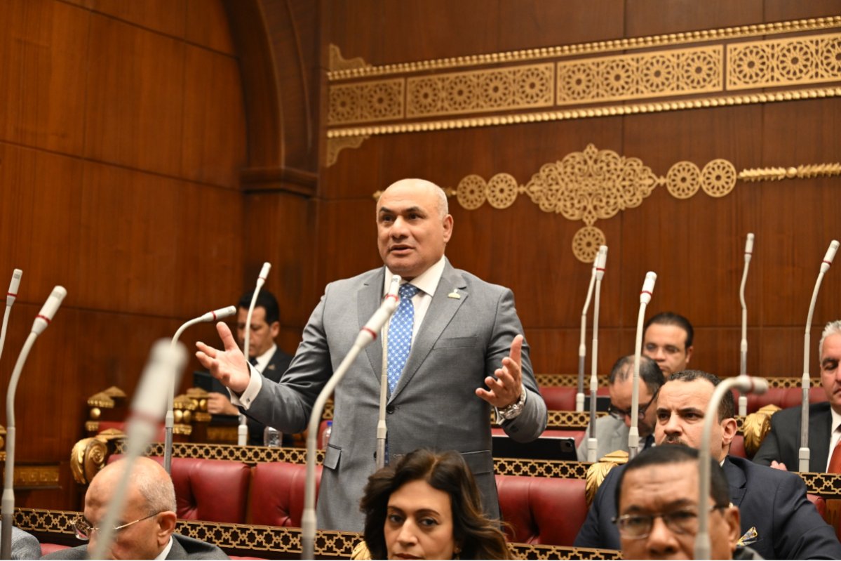 نائب بالشيوخ: مصر تتحرك بحكمة لحماية الأمن القومي العربي