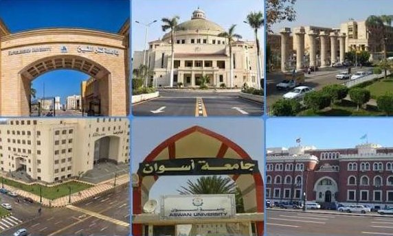 «متحدث التعليم العالي»: إنشاء فروع الجامعات المصرية في الخارج | فيديو