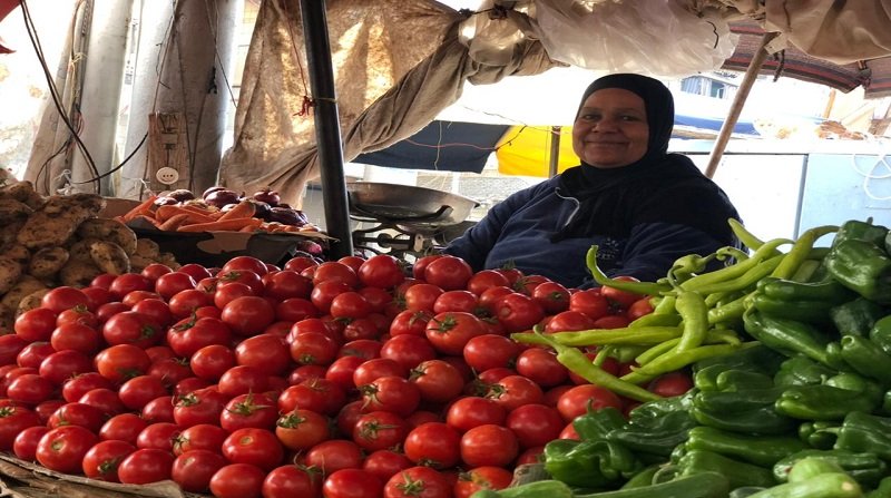 الزراعة لـ «المواطنين»: ارتفاع أسعار الطماطم مؤقت وانخفاض قرييًا|فيديو