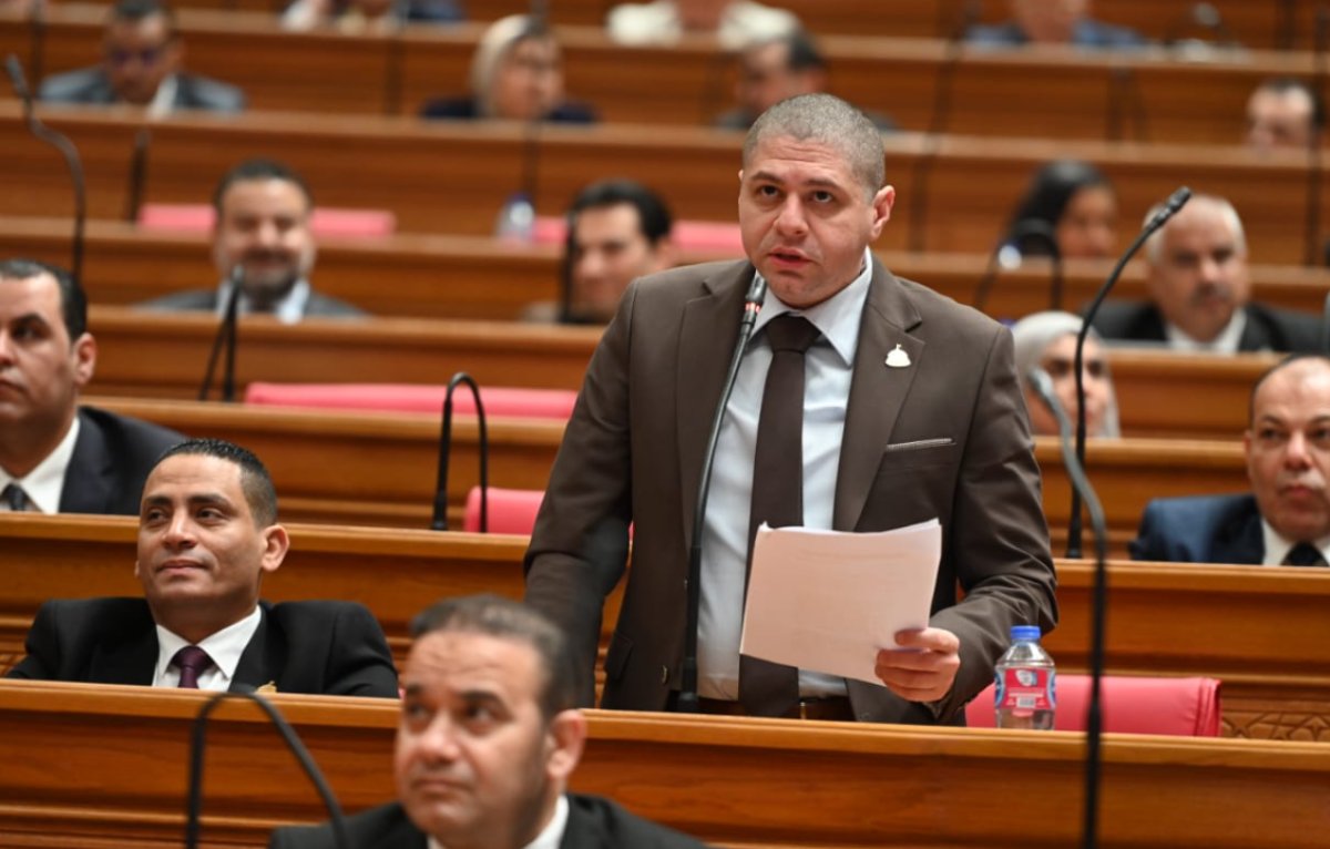الجبيلى توجيه الرئيس بدراسةدولةالفنون  خطوة لبناء القوة الناعمة