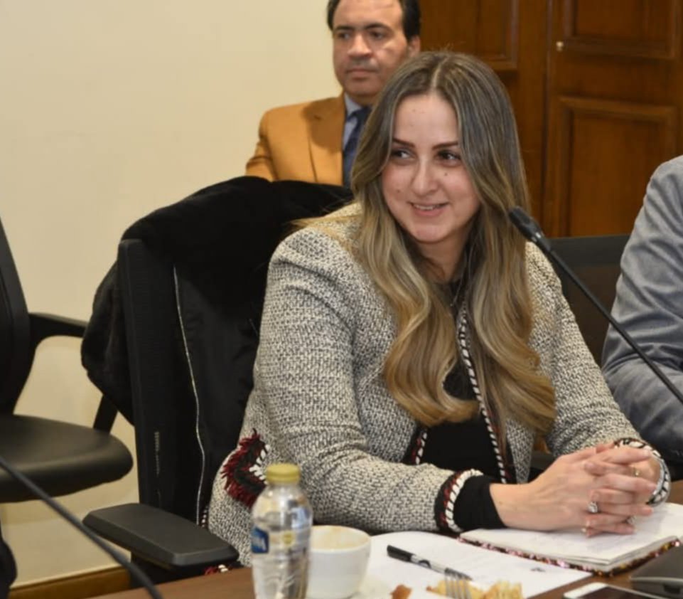 النائبة لبنى عبد العزيز تتقدم بطلب إحاطة بشأن مواجهة الشائعات وتطوير استراتيجية الإعلام الوطني