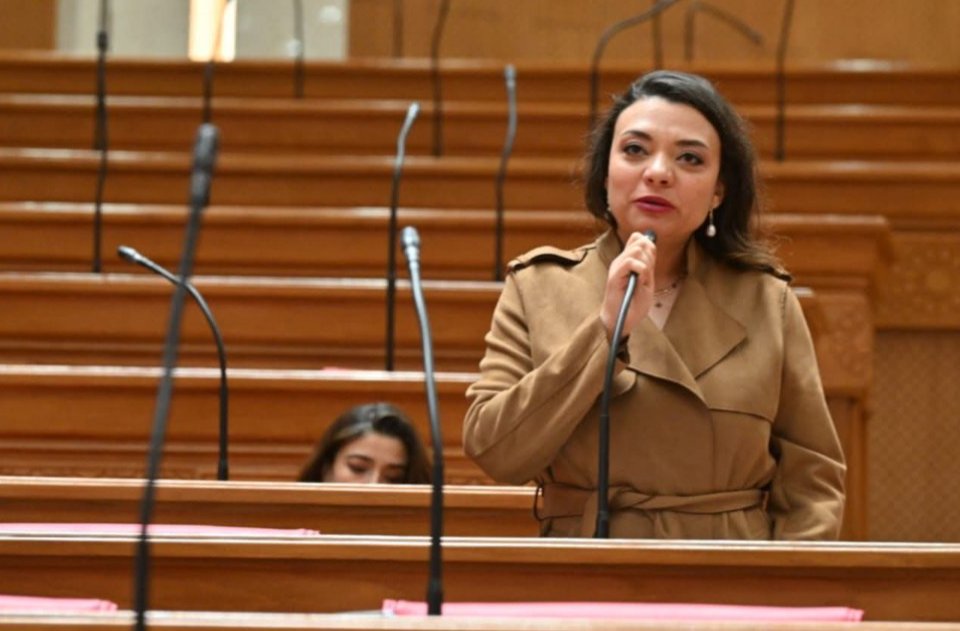النائبة مي كرم جبر توافق على مشروع قانون تنظيم الأنشطة النووية