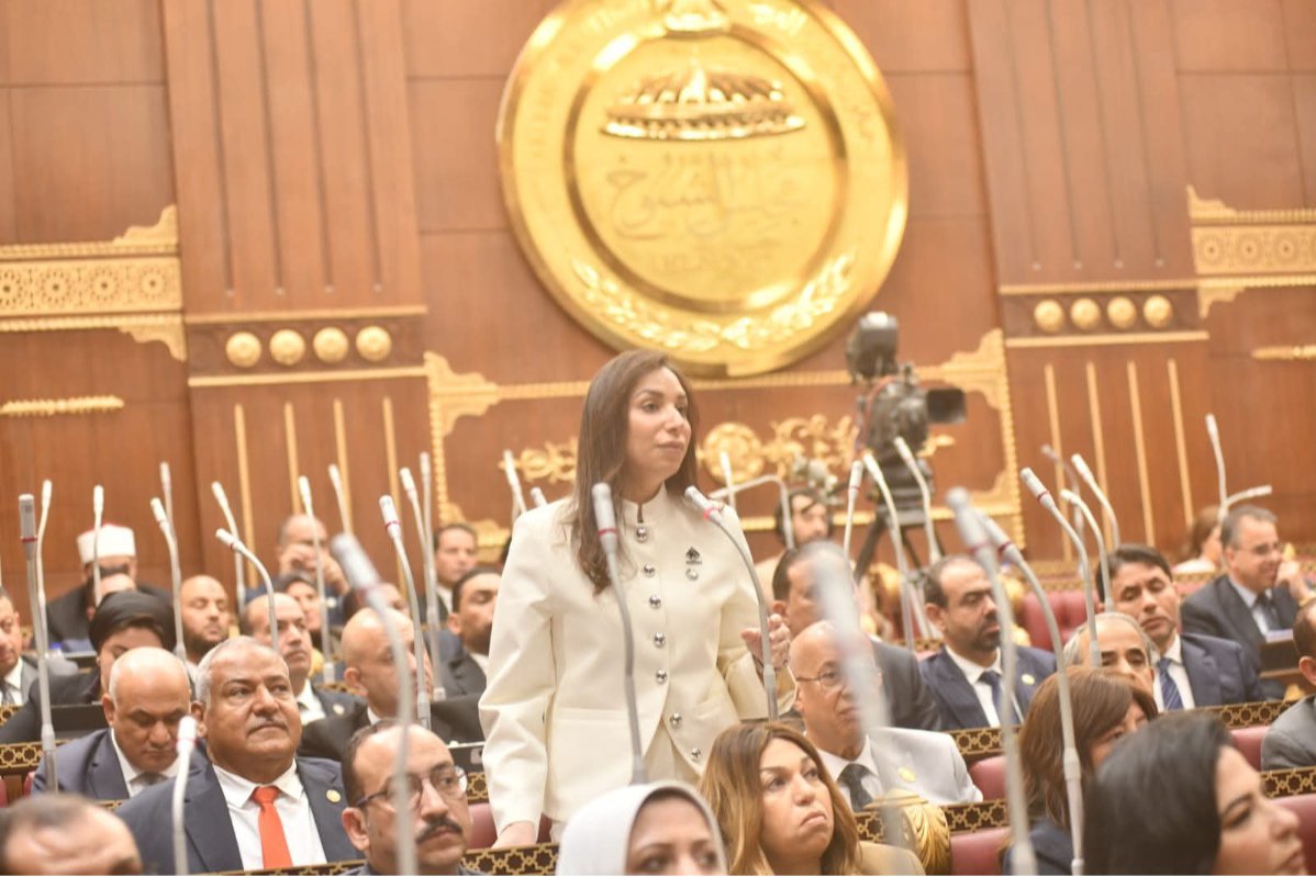 النائبة حنان وجدى قانون حماية المنافسة يتسق مع توجه الدولة نحو تعزيز كفاءة الإقتصاد الوطني