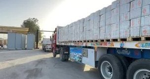 مصر ترسل 4910 أطنان من المساعدات الإنسانية إلى غزة وتستقبل الدفعة 31 من المصابين
