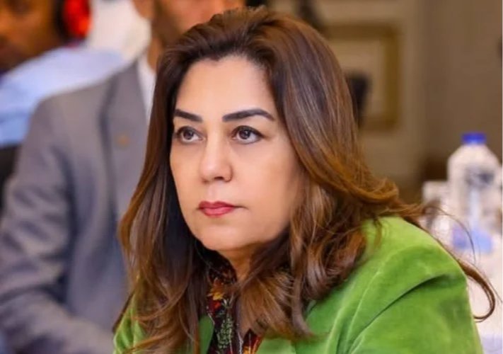 صندوق التنمية المحلية يمول 1338 مشروعًا بـ17 محافظة