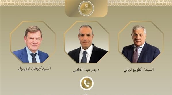 مصر تبحث مع ألمانيا وإيطاليا خفض التصعيد بالمنطقة