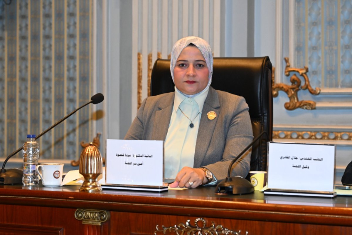 نائبة: توجيهات الرئيس بإحاله مشروع قانون الاسره للبرلمان خطوة لتحقيق التوازن الأسرى