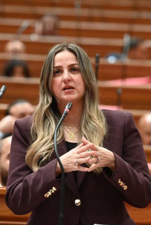 النائبة لبنى عبد العزيز قانون الأسرة الجديد خطوة ضرورية لتحقيق التوازن وحماية استقرار المجتمع