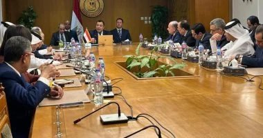مصر تؤكد دعم الأمن القومي العربي وخفض التصعيد إقليميًا