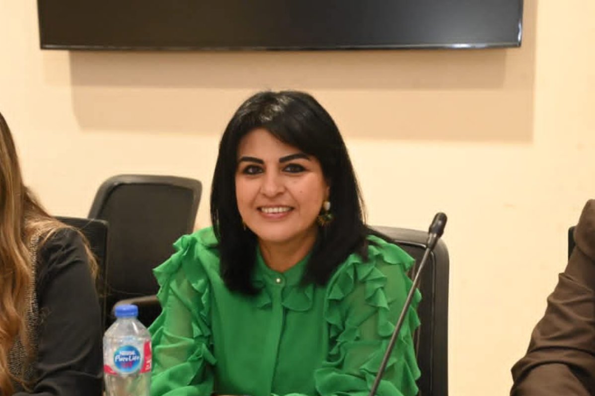 هند رشاد: توجيهات الرئيس بتقديم قوانين الأسرة للبرلمان خطوة مهمة لتعزيز الاستقرار المجتمعي
