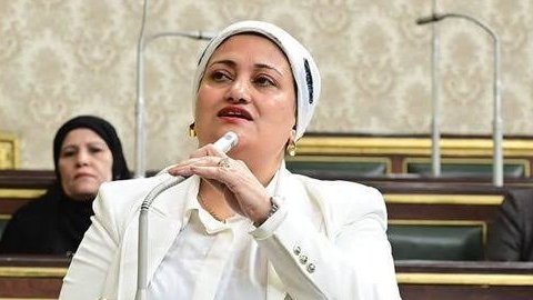 برلمانية توضح تأثير منع الخدمات الحكومية على المتهربين من النفقة
