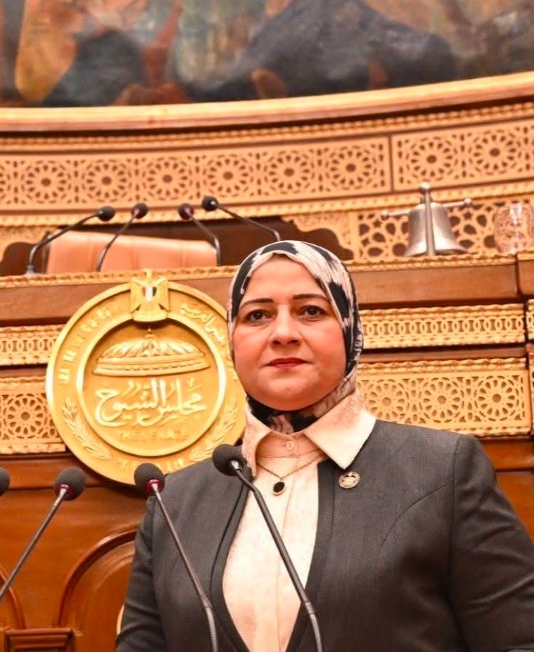 النائبه مروه قنصوه تحرير سيناء ملحمة وطن بدأت باسترداد الأرض واستكملت بتضحيات الشهداء
