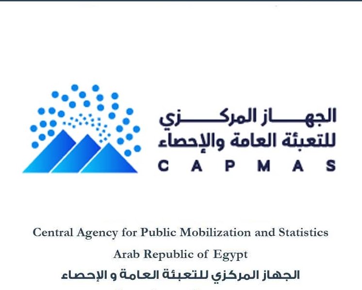 المركزى للاحصاء يصدر النشرة السنوية المجمعة لنتائـج بحـث العمل  2025