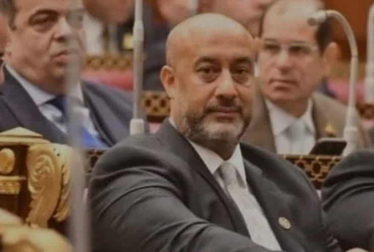 تماشيًا مع مقترحه البرلماني النائب حسام سعيد يشيد بإعلان الحكومة بشأن التوسع في الطاقة الشمسية