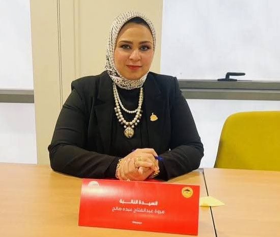 النائبةمروة صالح تتقدم بمقترح لإطلاق المشروع القومي للطاقة الشمسية