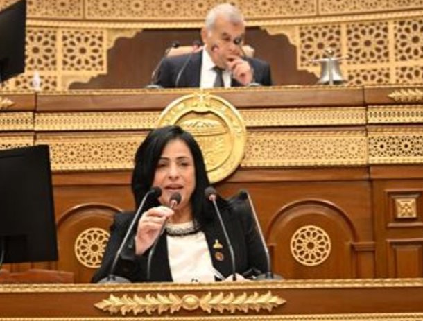 النائبة ميرال الهريدي: عمال مصر ركيزة البناء في الجمهورية الجديدة