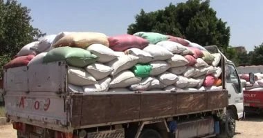 محافظ سوهاج: انتظام توريد القمح المحلي واستلام 57 ألف طن
