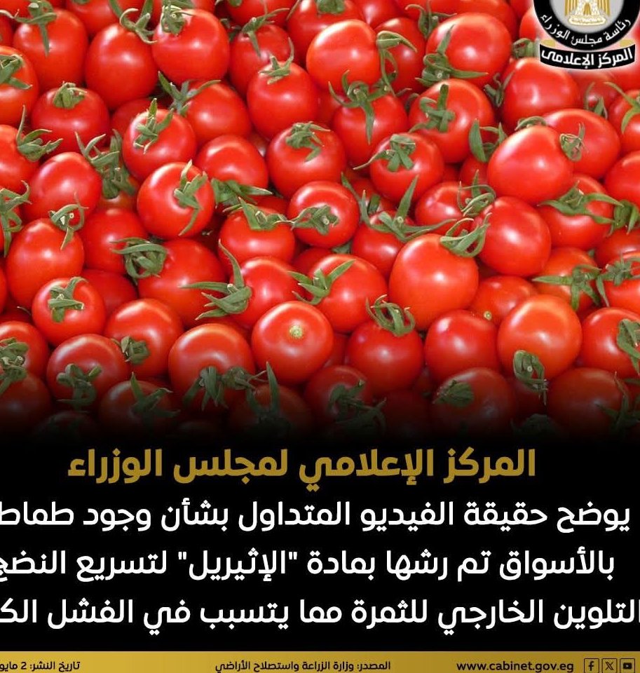 المركز الإعلامي ينفي الادعاءات التي توضح رش الطماطم بمادة "الإثيريل"