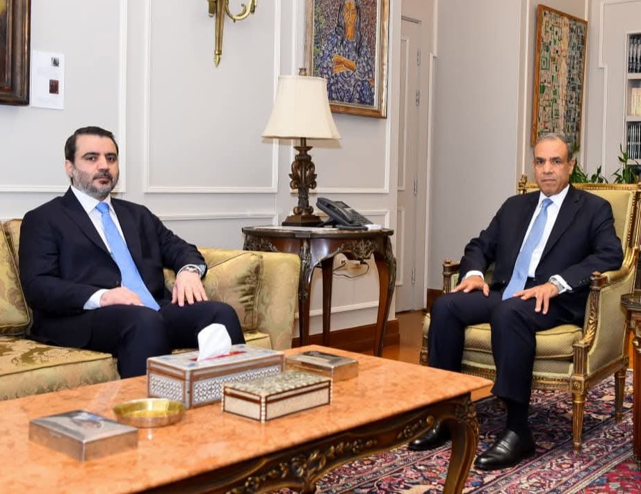 وزير الخارجية المصري يلتقي نظيره السوري لبحث العلاقات الثنائية