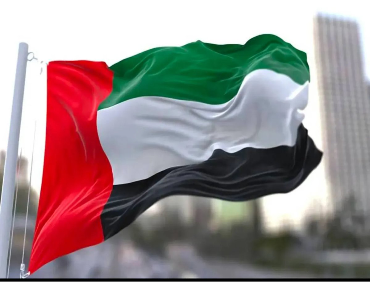 الإمارات والبحرين تعززان التنسيق الأمني بعد إحباط تنظيم إرهابي