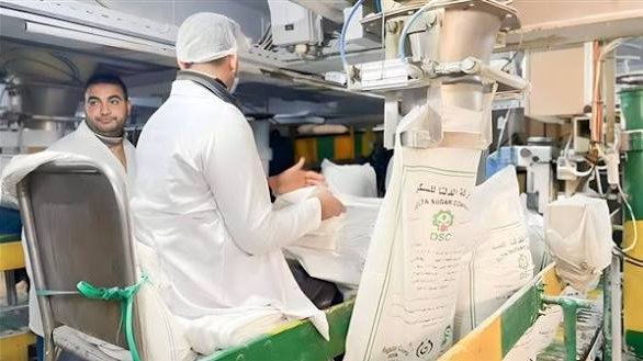 إنتاج السكر في مصر.. صناعة استراتيجية تدعم الأمن الغذائي وتحقق طفرة في الإنتاج