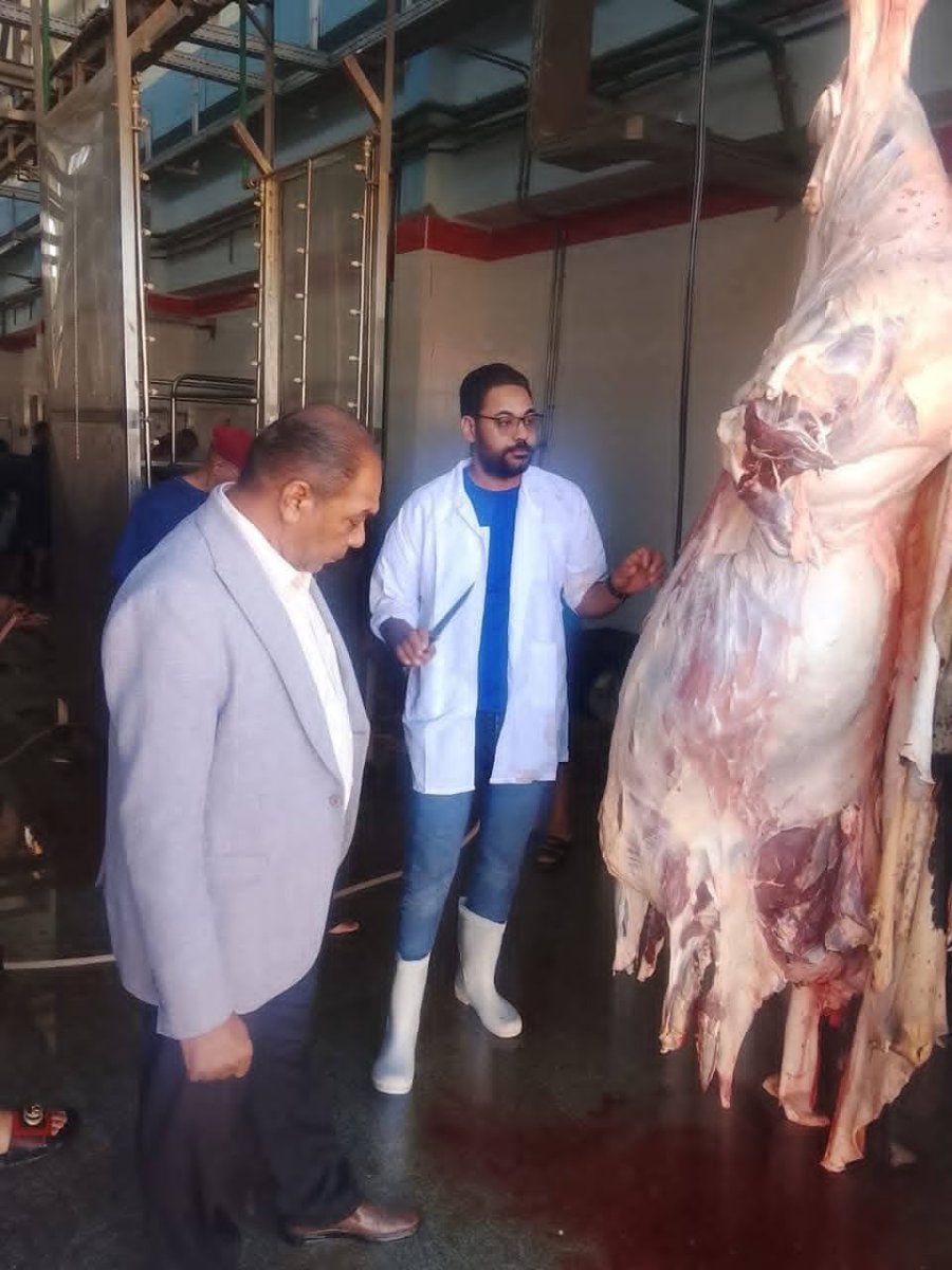 الطب البيطري بالوادي الجديد يذبح 125 أضحية في ثالث أيام العيد