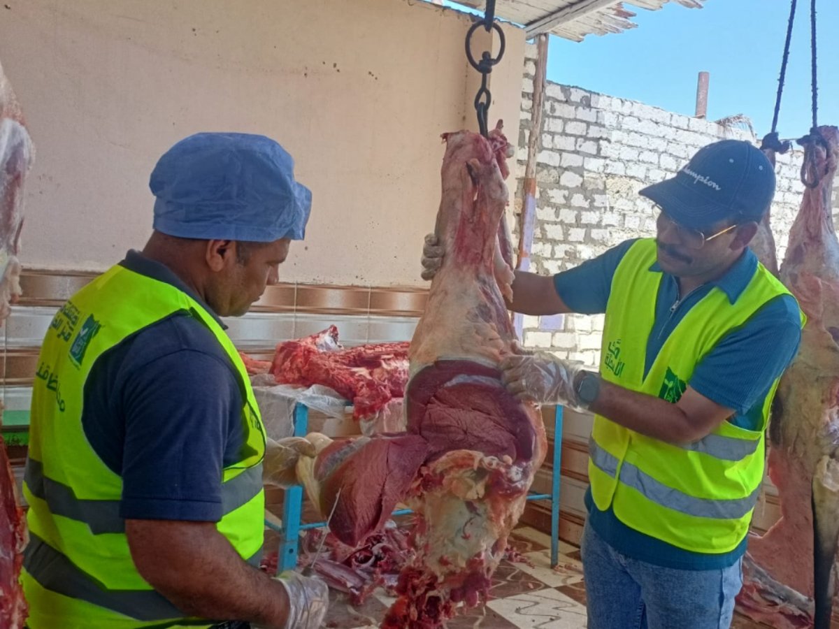 بالتعاون مع مصر الخير.. قنا تختتم حملة الأضاحي بأكثر من 127 ماشية وتوزيعها على 21,380 أسرة خلال عيد الأضحى