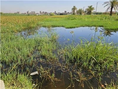 محافظ قنا: ارتفاع منسوب النيل لأعلى مستوى والأضرار محدودة بطرح النهر