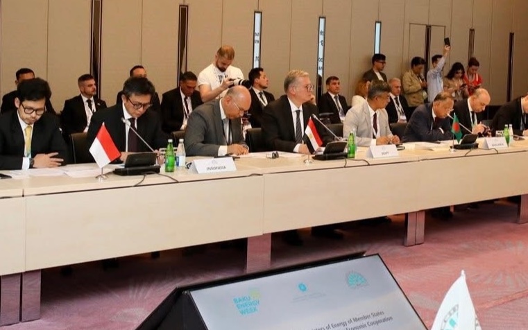 مصر تؤكد دعم التكامل الإقليمي لأمن الطاقة  باجتماع وزراء D-8 في باكو