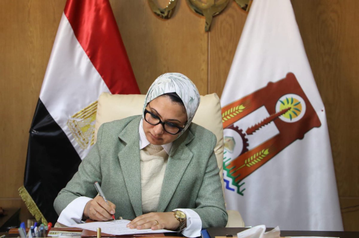 محافظ الوادي الجديد تحيل 8 مسؤولين للنيابة العامة بتهمة تسهيل سرقة كابلات محطة مياه باريس