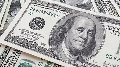 سعر الدولار أمام الجنيه اليوم  والبنك المركزي يسجله عند 51.75 جنية