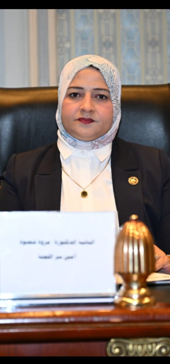 مروة قنصوه: تمويل المشروعات وتمكين القطاع الخاص مفتاح نجاح خطة 2026/2027