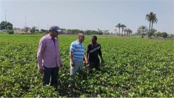 محافظ الفيوم يتابع جهود الزراعة لدعم المزارعين وتعزيز الإنتاج