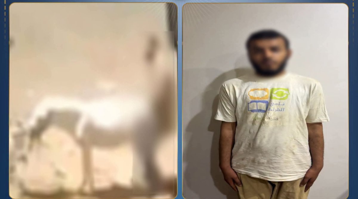 أمن القليوبية يضبط المتهم بالتعدي على «حمار» بشبين القناطر.. وإيداعه مصحة نفسية