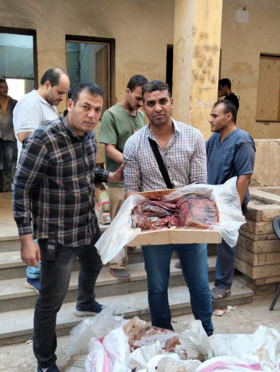 محافظ أسيوط يُعلن ضبط 600 كيلو لحوم وأسماك فاسدة داخل مخزن غير مرخص بمنفلوط