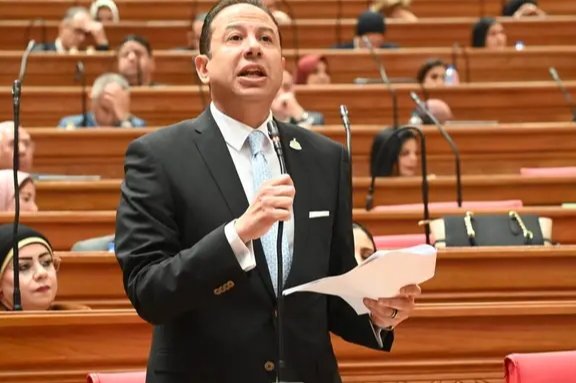 النائب حسن عمار يطالب بتغليظ عقوبات الغش الغذائي ورقمنة منظومة تتبع السلع