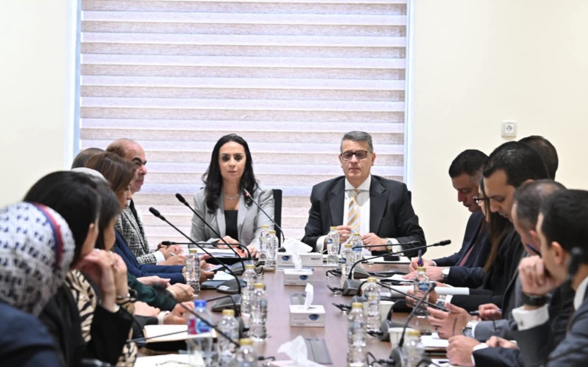 حقوق الإنسان بالنواب تناقش مع وزيرة التضامن الاجتماعي سبل تعزيز ذوي الإعاقة