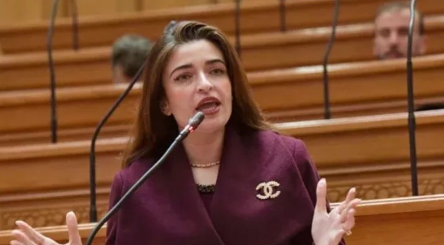 النائبة إيرين سعيد: القروض تتركز في النقل والشارع قلق من الديون