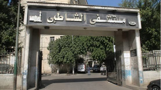 المصري الديمقراطي يطالب بتحقيق عاجل في شهادة "طبيبة الإسكندرية".. ويؤكد: كرامة المرأة خط أحمر