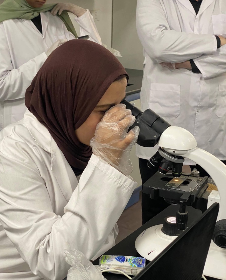 تطوير شامل للجامعات التكنولوجية في مصر يدعم وظائف المستقبل 2026