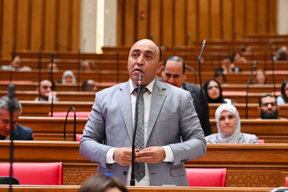 حسام حسن يطالب بمراجعة خريطة الاستثمارات وربطها بحركة السكان